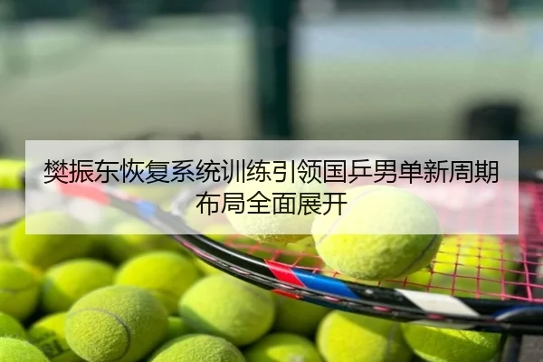 樊振东恢复系统训练引领国乒男单新周期布局全面展开